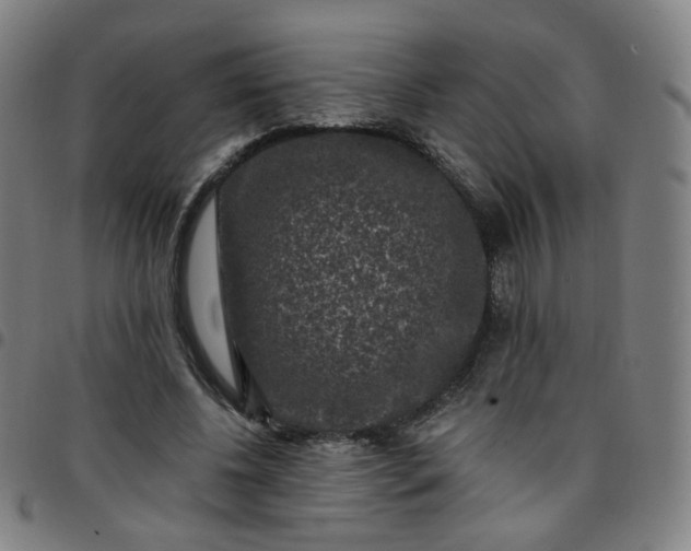 X0000097490540200803071741