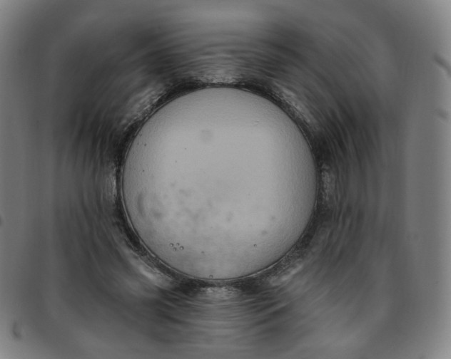 X0000097490541200803071741