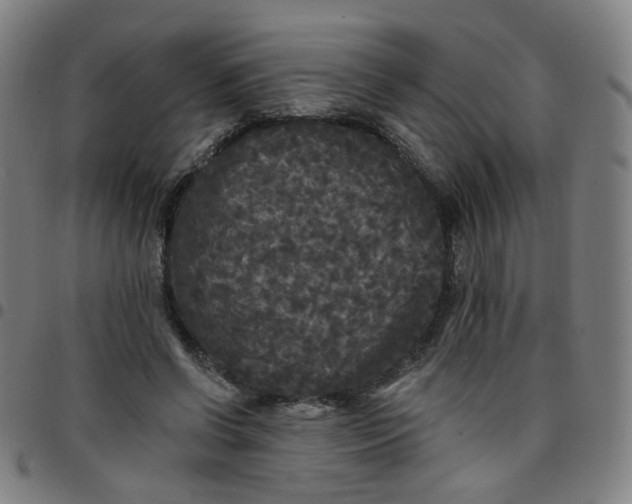 X0000097490542200803071741