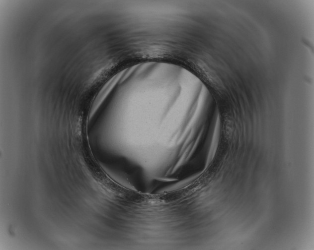 X0000097490543200803071741