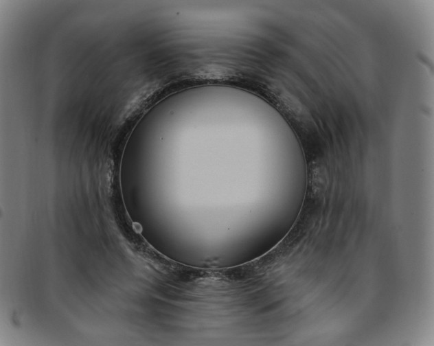 X0000097490544200803071741