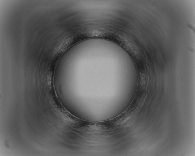 X0000097490545200803071741