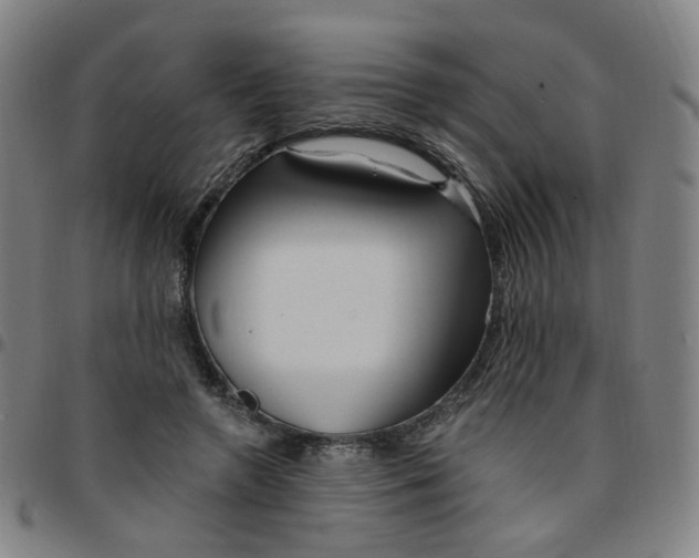 X0000097490546200803071741