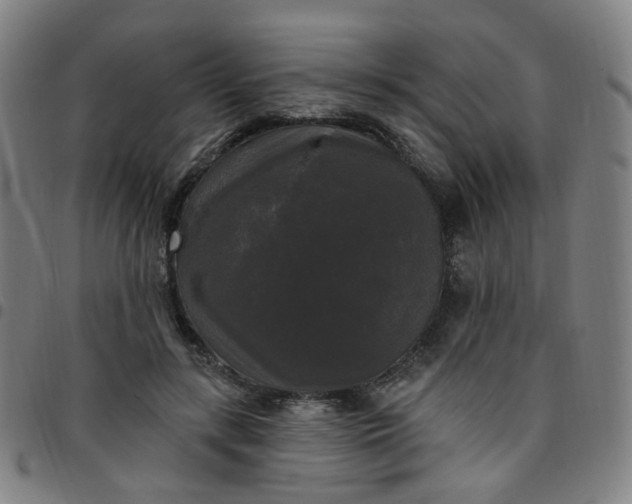 X0000097490547200803071741