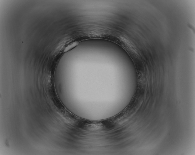 X0000097490548200803071741