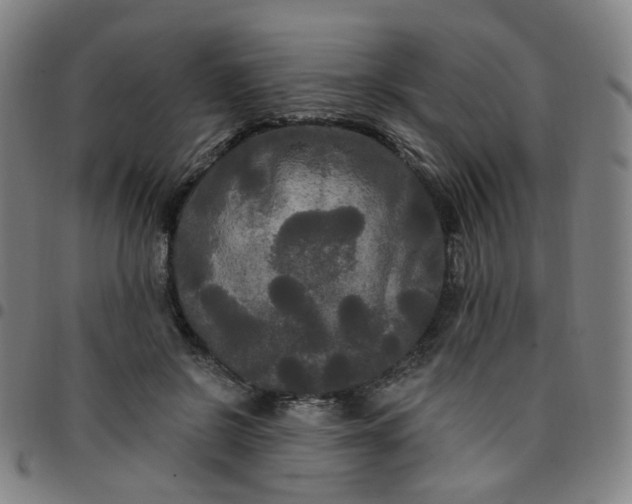 X0000097490550200803071741