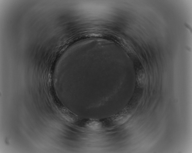 X0000097490551200803071741