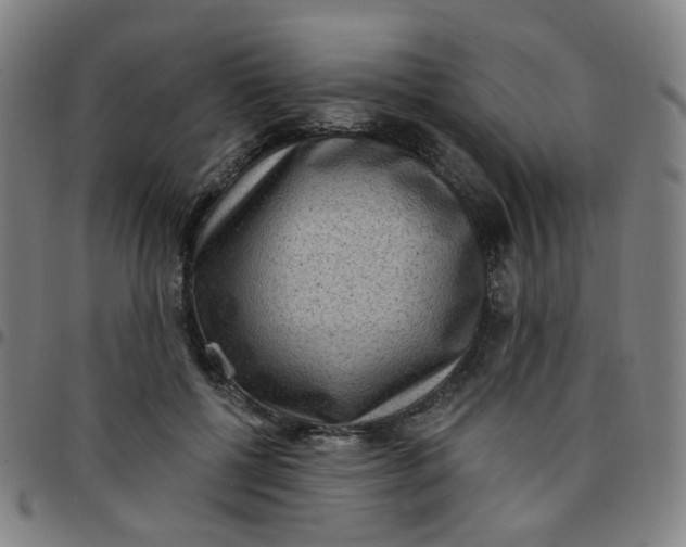 X0000097490552200803071741