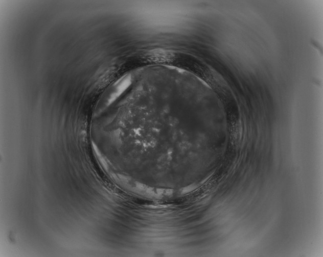 X0000097490553200803071741