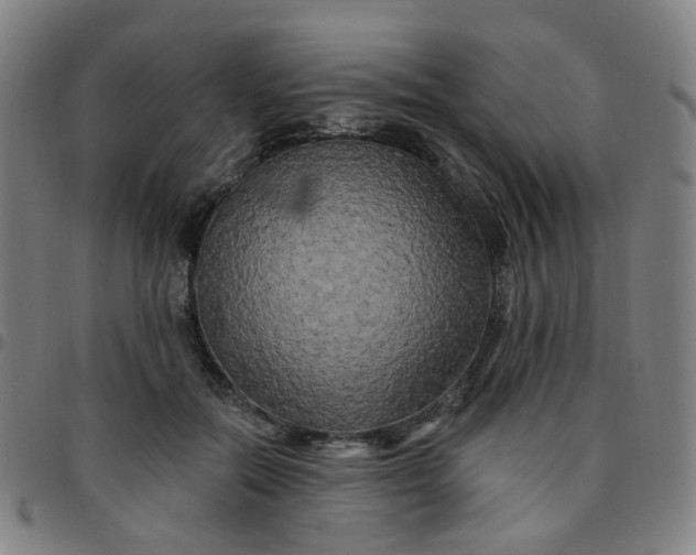 X0000097490554200803071741