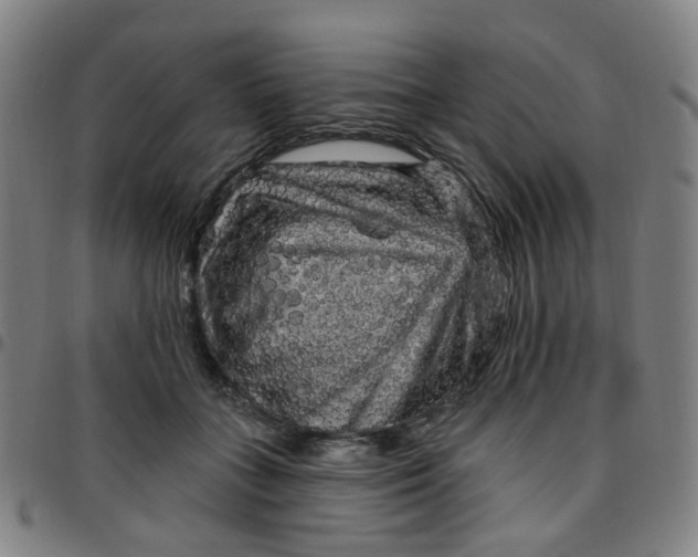 X0000097490555200803071741