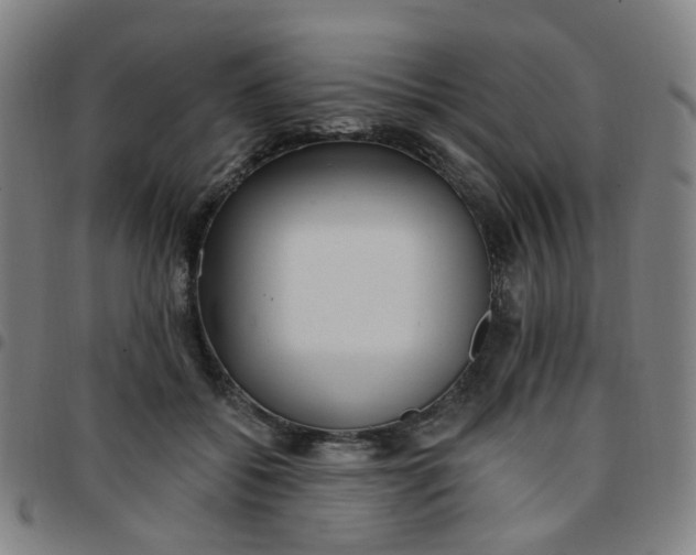 X0000097490556200803071741