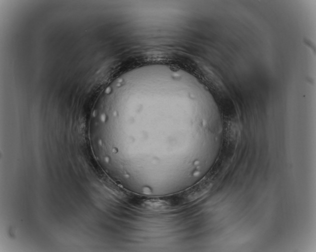 X0000097490557200803071741