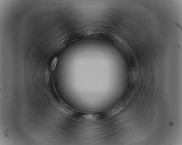 X0000097490558200803071741