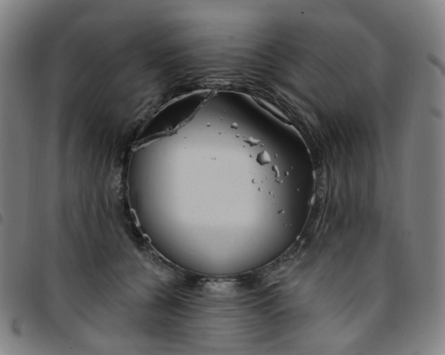 X0000097490560200803071741