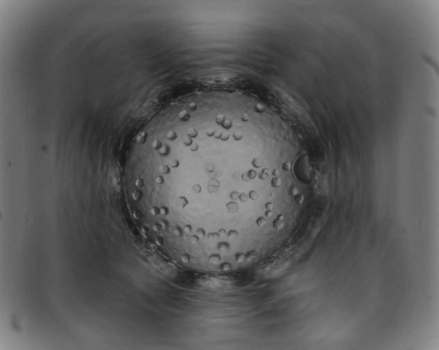 X0000097490561200803071741