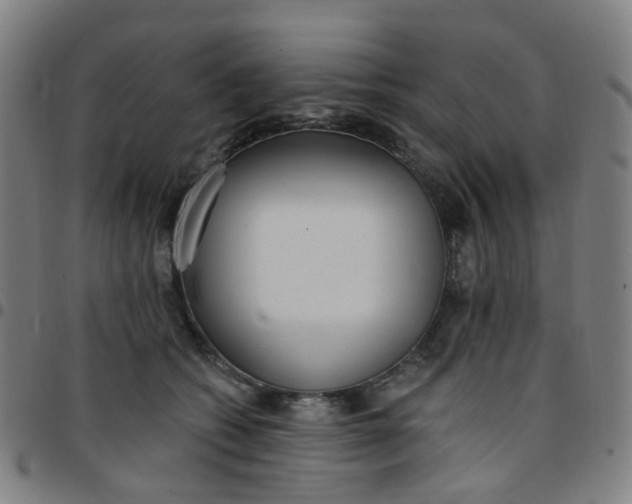 X0000097490562200803071741