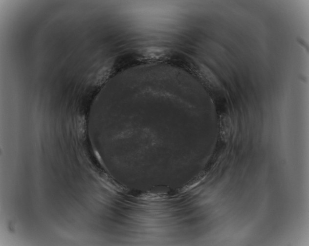 X0000097490563200803071741