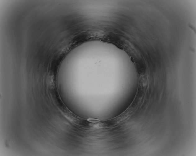 X0000097490564200803071741