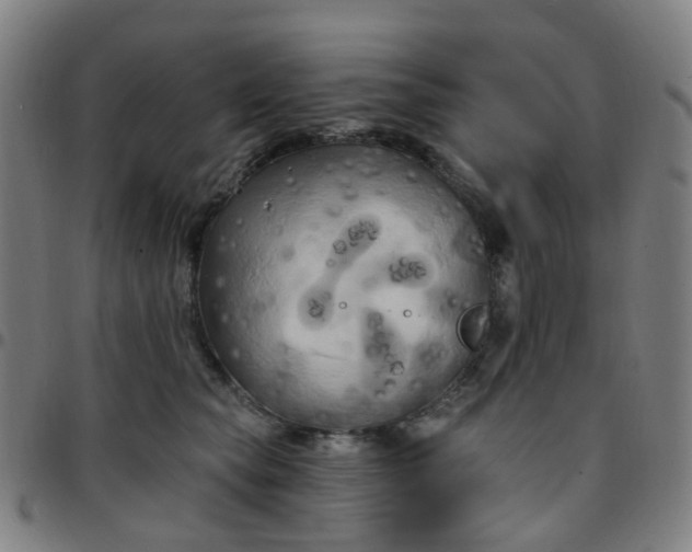 X0000097490565200803071741