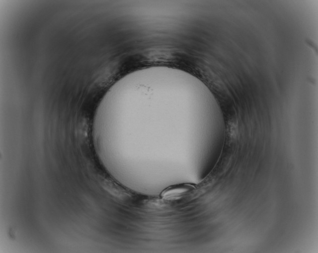 X0000097490567200803071741