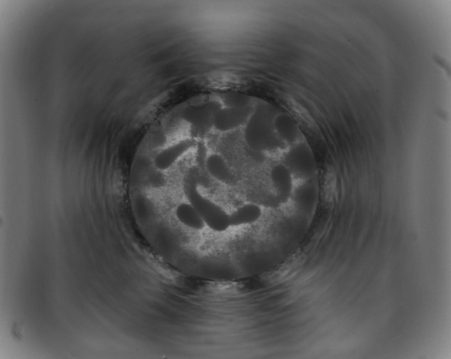 X0000097490569200803071741