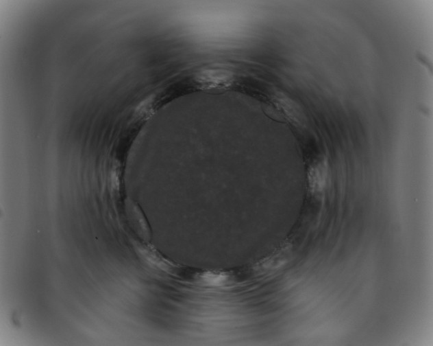 X0000097490570200803071741