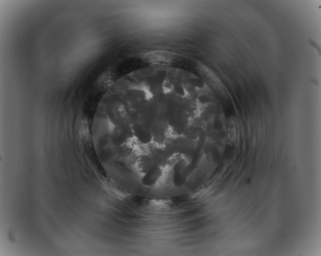 X0000097490573200803071742