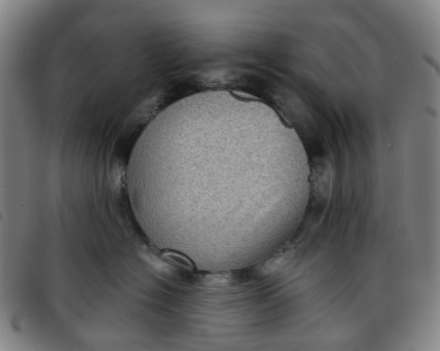 X0000097490574200803071742