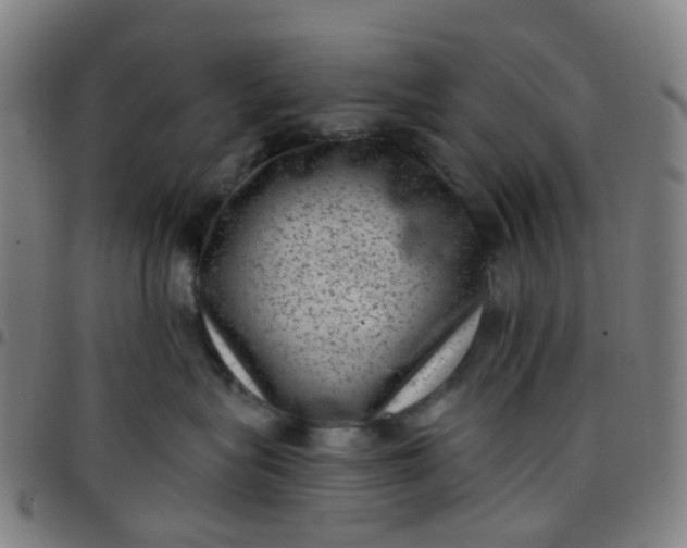 X0000097490575200803071742