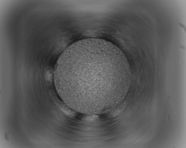 X0000097490576200803071742