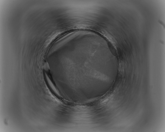 X0000097490577200803071741