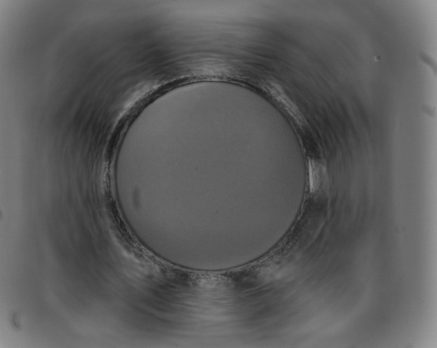 X0000097490579200803071741