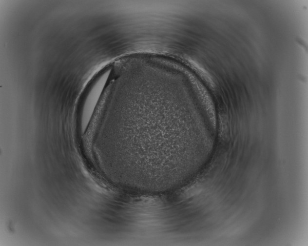 X0000097490580200803071741