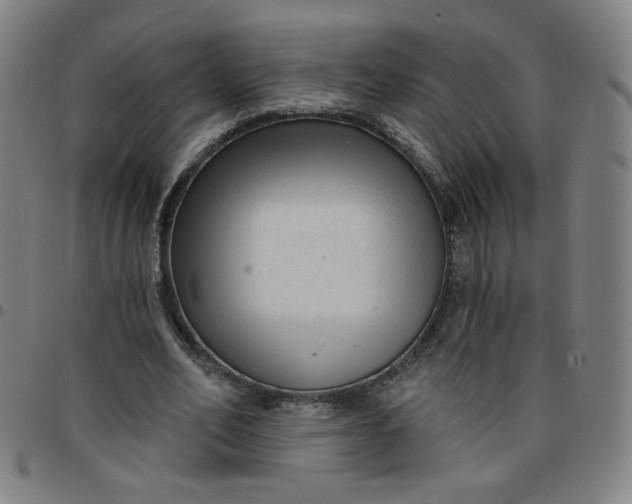 X0000097490582200803071741