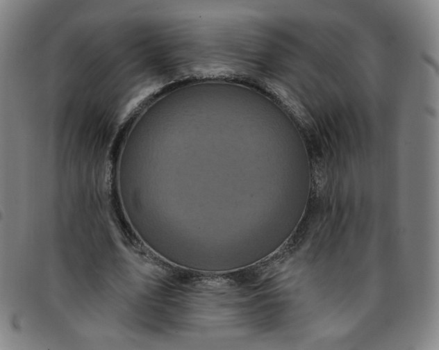 X0000097490583200803071741