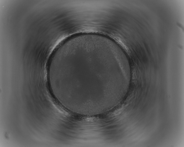 X0000097490584200803071741