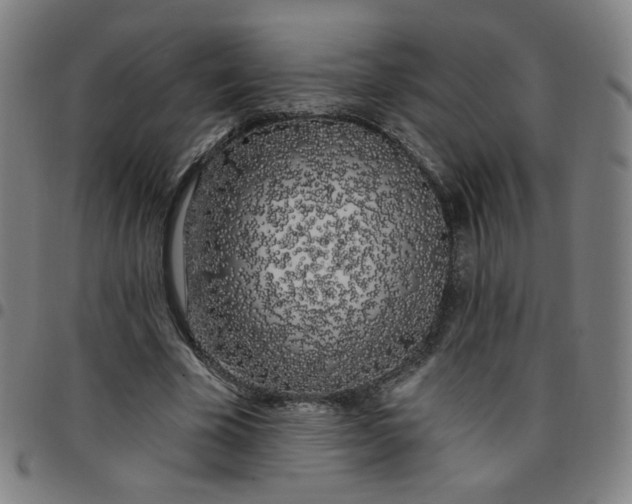 X0000097490585200803071741