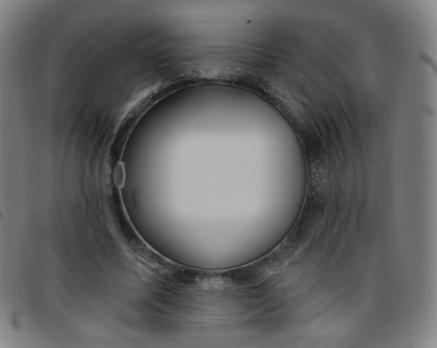 X0000097490587200803071741