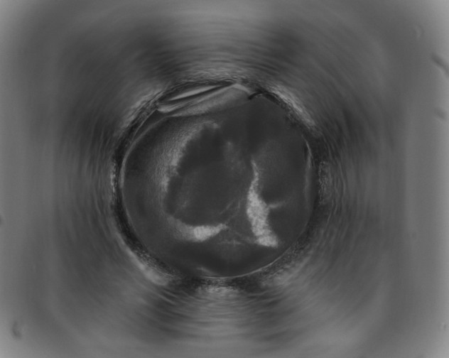 X0000097490590200803071741