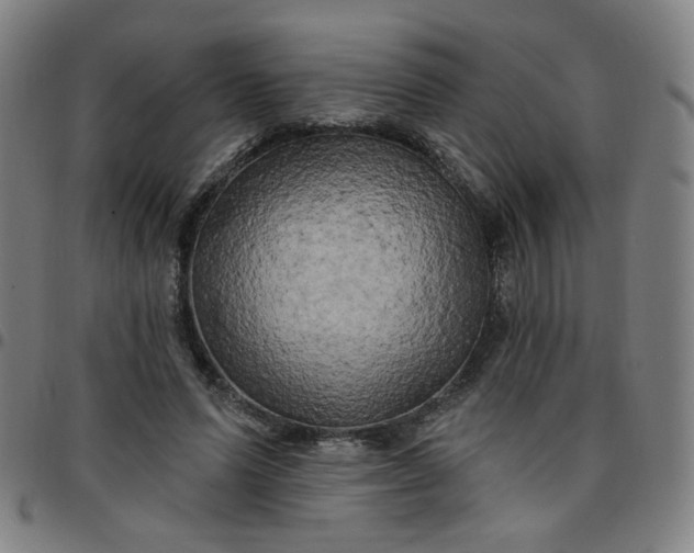 X0000097490591200803071741