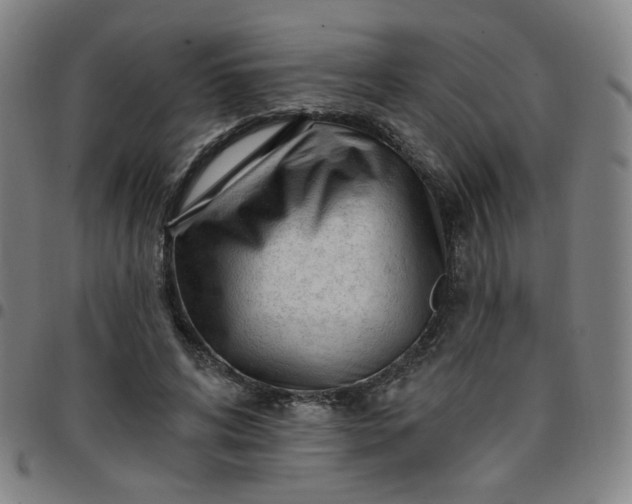 X0000097490592200803071741