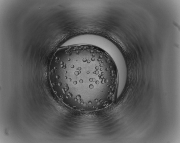 X0000097490593200803071741