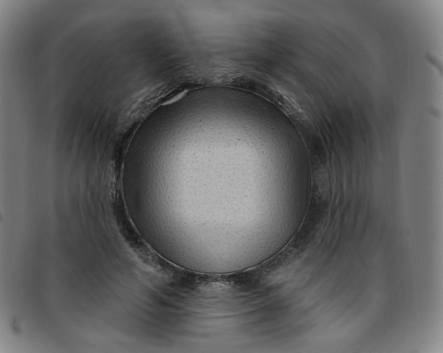 X0000097490594200803071741