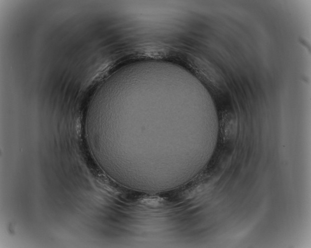 X0000097490595200803071741