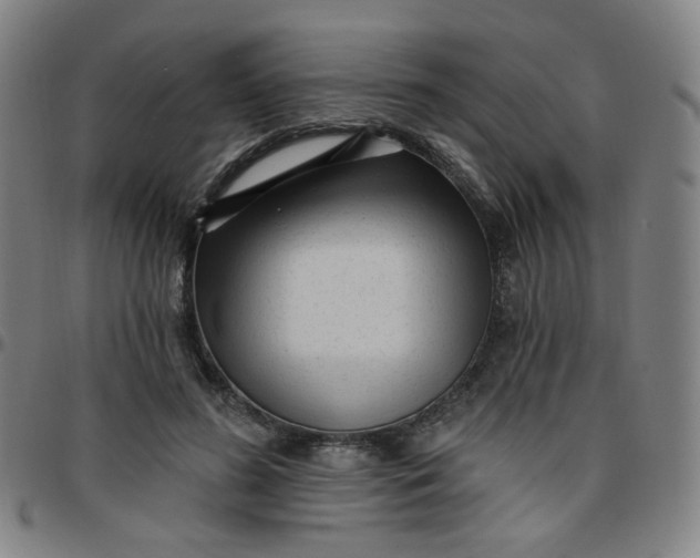 X0000097490596200803071741