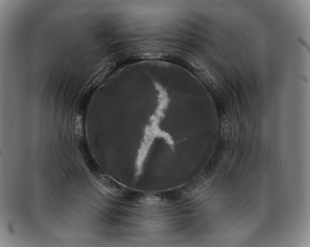 X0000097490598200803071741