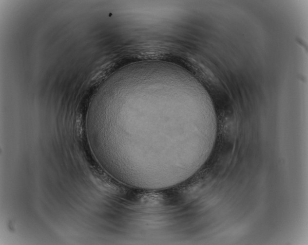 X0000097490599200803071741