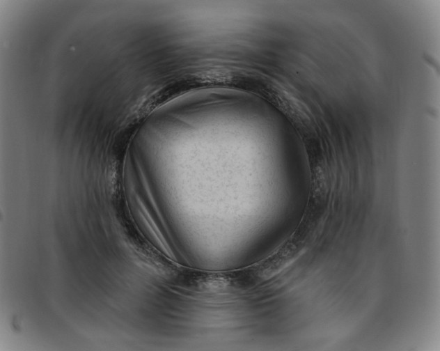 X0000097490600200803071741