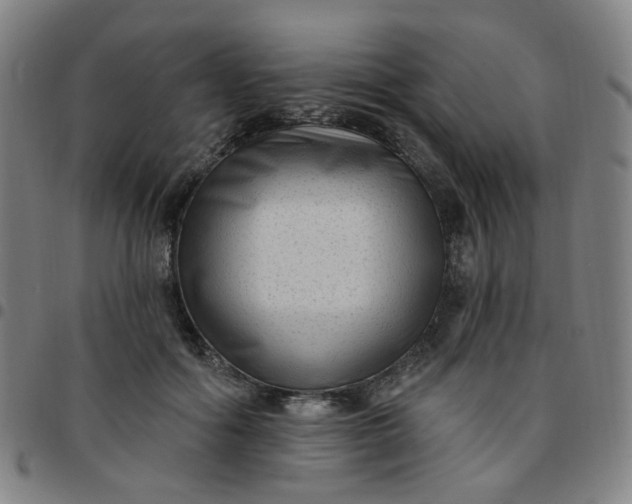 X0000097490602200803071741